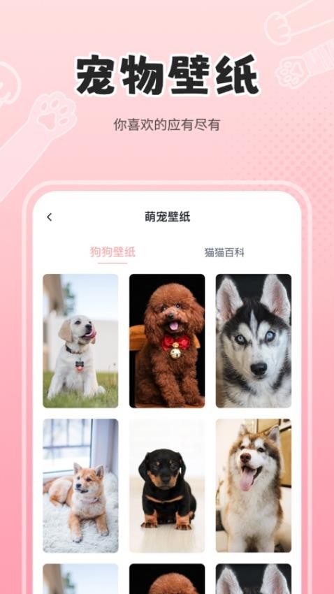 人狗猫交流器-图3